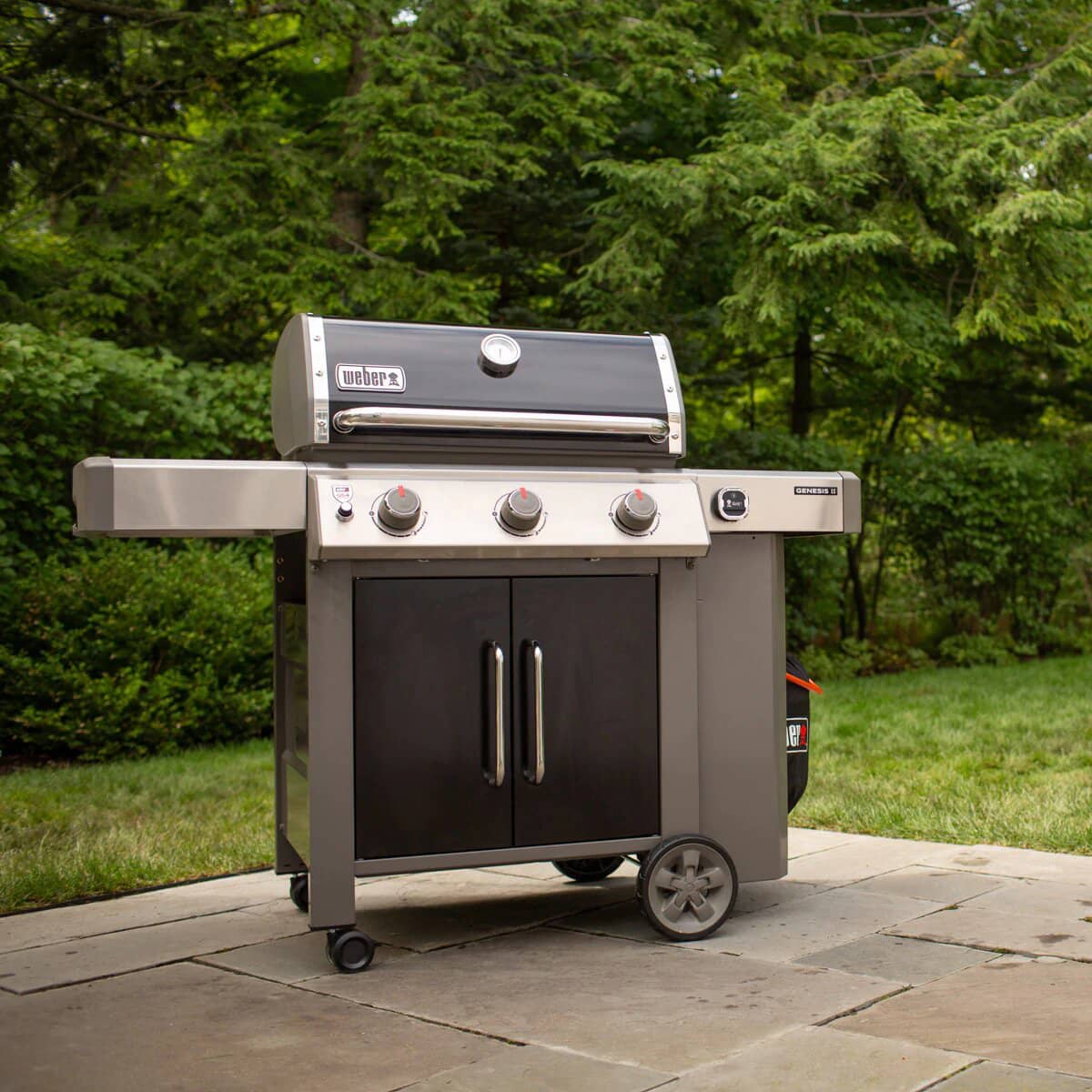 Гриль Weber Genesis II E-315 GBS в саду Гриль Weber Genesis II E-315 GBS в саду